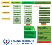 Diagnosis Treatment System for Vitiligo