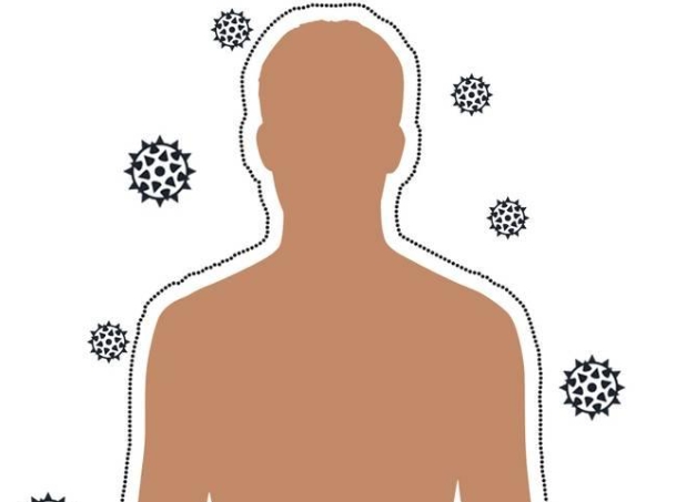 Vitiligo and Immunity
