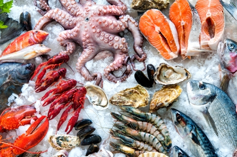 vitiligo diet 