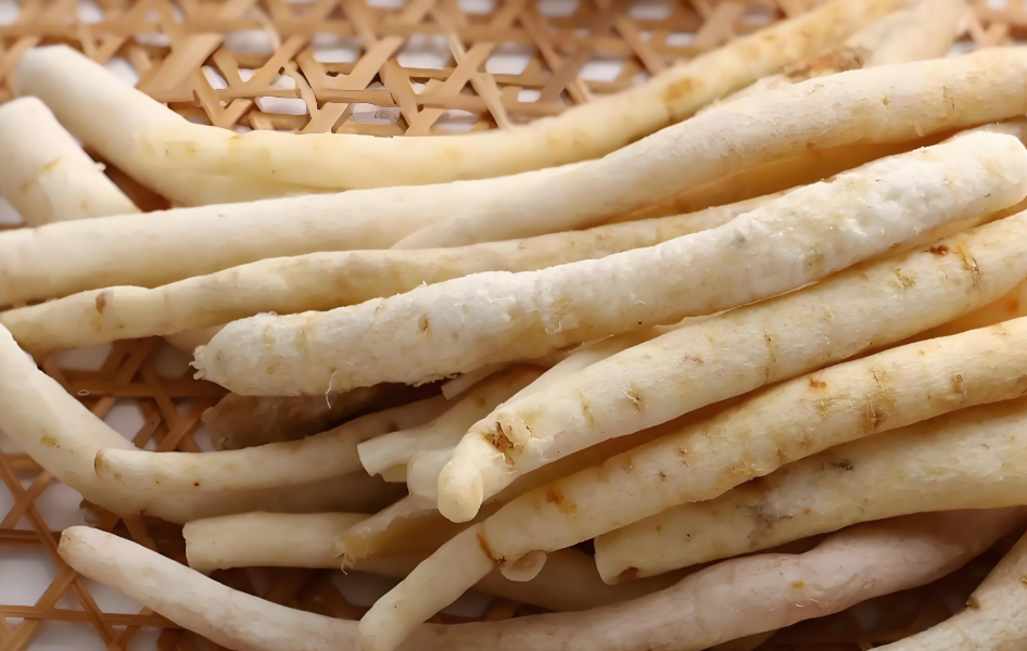 Glehnia Root (沙参)