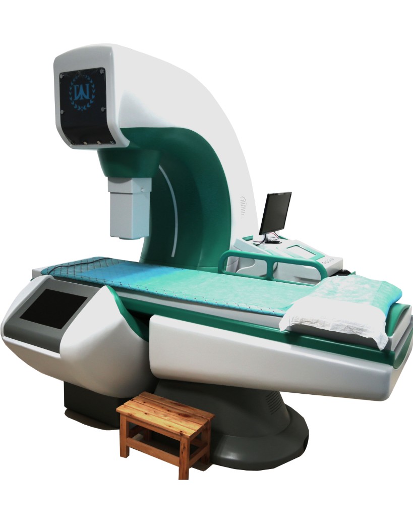 Electromagnetic therapy treatment system